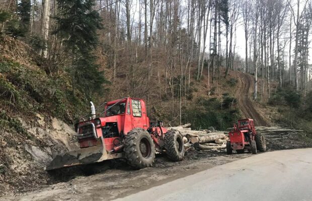 Ce nereguli a găsit ITM la firmele din domeniul forestier. Amenzi de 24.500 de lei