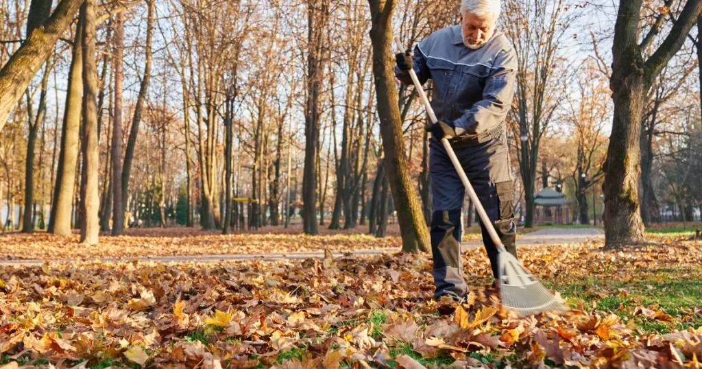 Cum transformi frunzele căzute în compost valoros? Trucul simplu care hrănește rapid solul