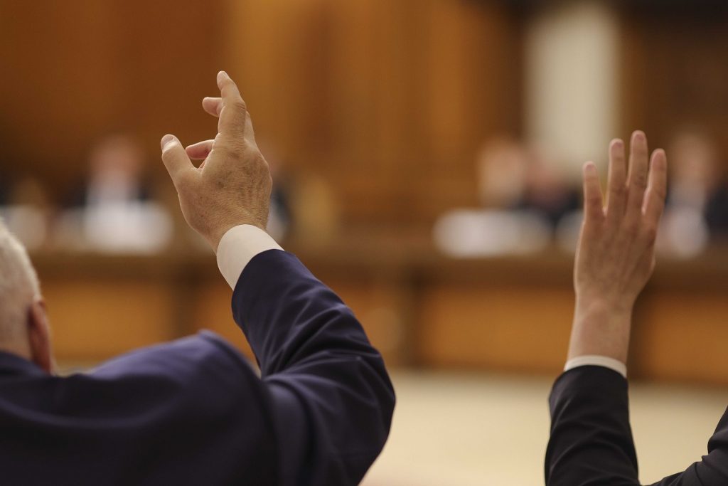 Oana Ţoiu: Renunţarea la dreptul de veto al României în Consiliul European e o informaţie falsă; un ministru nu poate face asta