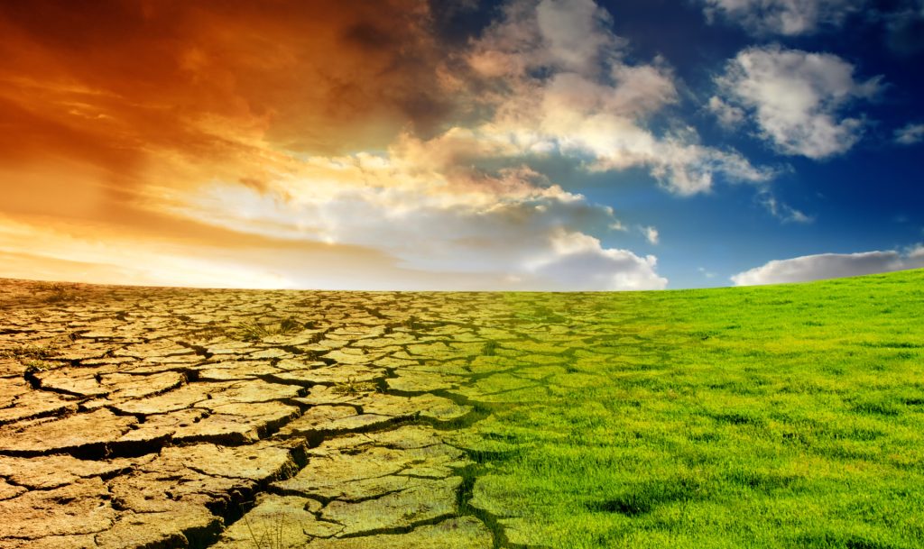 Reuniunea internațională privind schimbările climatice, suspendată pe termen nedeterminat / Dispută privind calendarul publicării rapoartelor: „O tactică rușinoasă de tragere de timp”