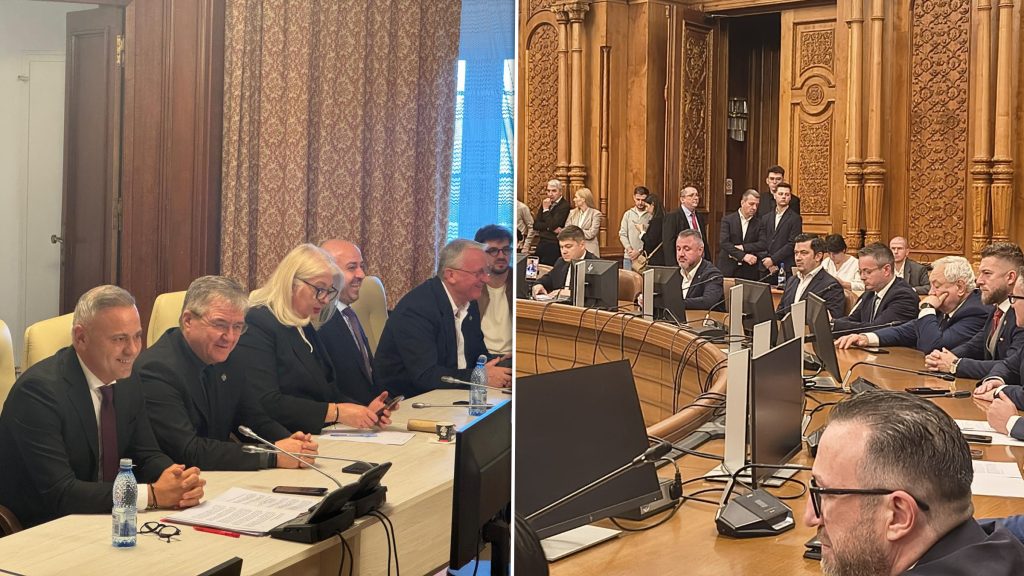 Au început audierile miniștrilor propuși de Luca Niculescu. Florin Barbu, propus pentru Agricultură, și Marcel-Alexandru Stoica, propus pentru Dezvoltare, primii în fața comisiilor parlamentare