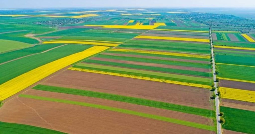 Fermierii ar putea cumpăra terenuri agricole prin leasing funciar. Ce pregătește Ministerul Agriculturii