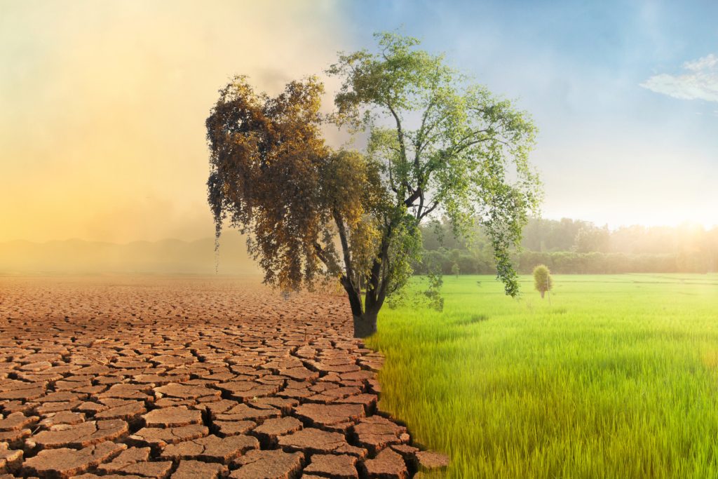 UE investește peste 390 de milioane de euro în 135 de proiecte pentru protejarea mediului și combaterea schimbărilor climatice