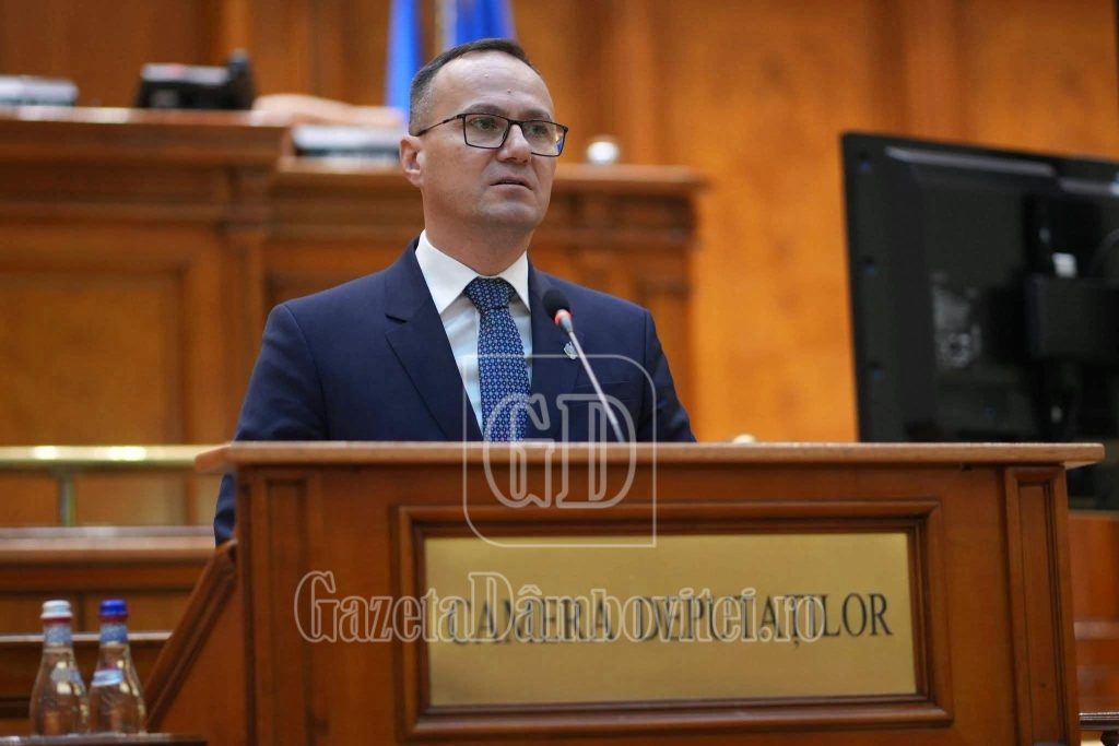 Aurelian Cotinescu: Votul PNL pentru Guvernul Luca Niculescu este „un vot de necesitate”