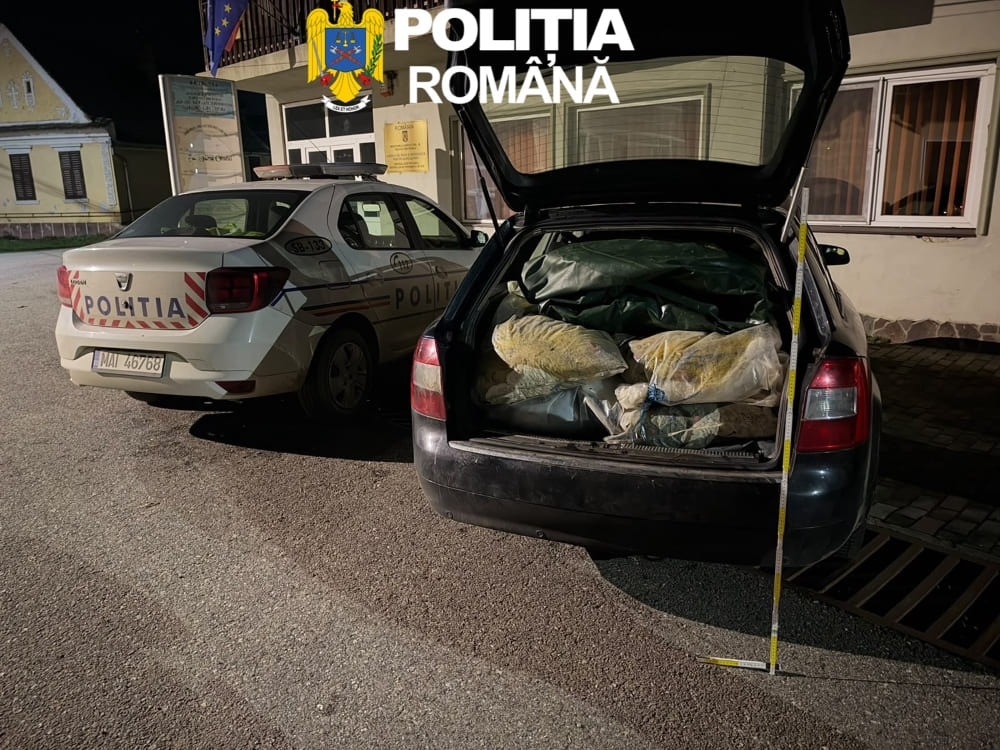 Plase de pescuit interzise, descoperite de polițiști în portbagajul unui autoturism | Foto