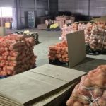 Cinci percheziţii în Bucureşti şi 24 în judeţul Ialomiţa, la locuinţele unor persoane şi la sediile unor societăţi comerciale, într-un dosar de evaziune fiscală