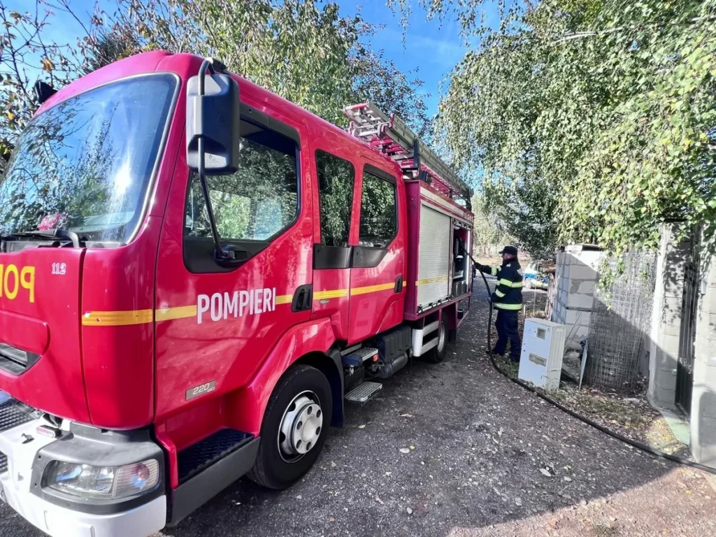 Un câine, două pisici și două broaște țestoase salvate de pompieri