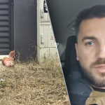 Un bărbat susţine, pe reţelele de socializare, că Marius Lulea a înscenat momentul în care a găsit un cap de porc la poarta locuinţei, în urma căruia a reclamat ameninţări voalate din partea lui George Simion