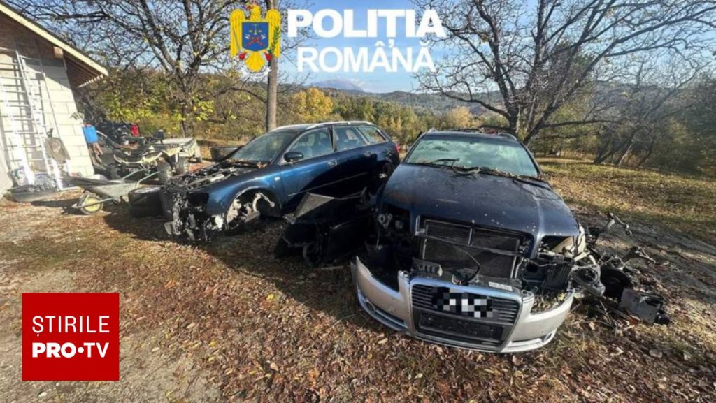 Un vâlcean și-a transformat curtea într-un centru ilegal de dezmembrări. Amendă de 5.000 de lei după ce polițiștii au găsit 12 tone de deșeuri și 12 mașini