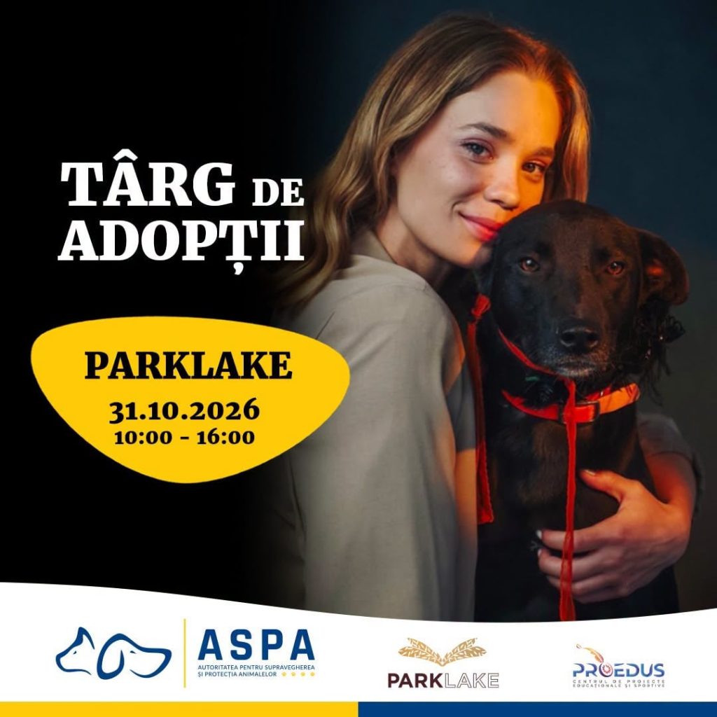 Târg de adopții pentru câini și pisici negre, de Halloween, în București. Unde pot fi întâlniți blănoșii