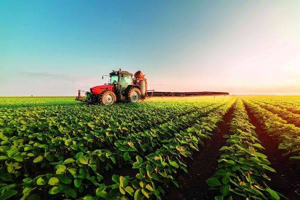 Alarmă pentru economia României: Am importat cu 22 de miliarde de euro mai mult decât am exportat în doar 8 luni. Ce îi cere șeful PNADD noului guvern