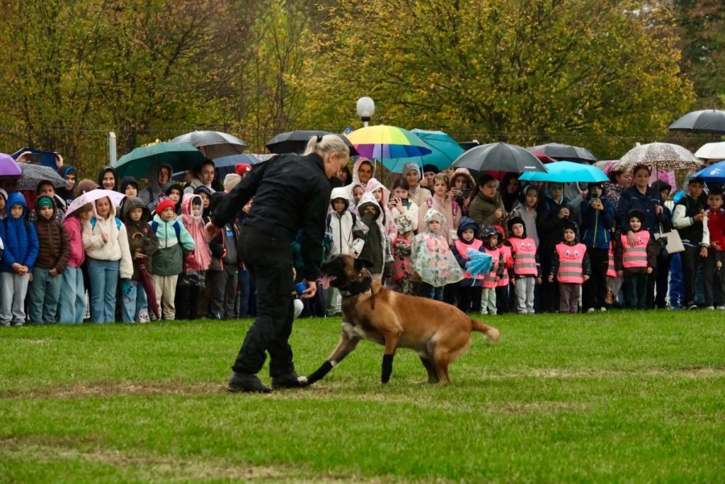 Aproximativ 1.500 de elevi și profesori au participat la o demonstrație de dresaj canin la Centrul Chinologic Sibiu