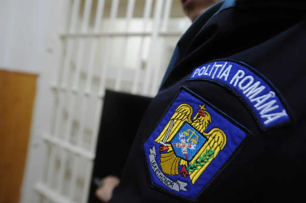 Cu toporul într-o casă din Rășinari: un bărbat este acuzat că a distrus ușa și două geamuri și a lovit o femeie de 24 de ani