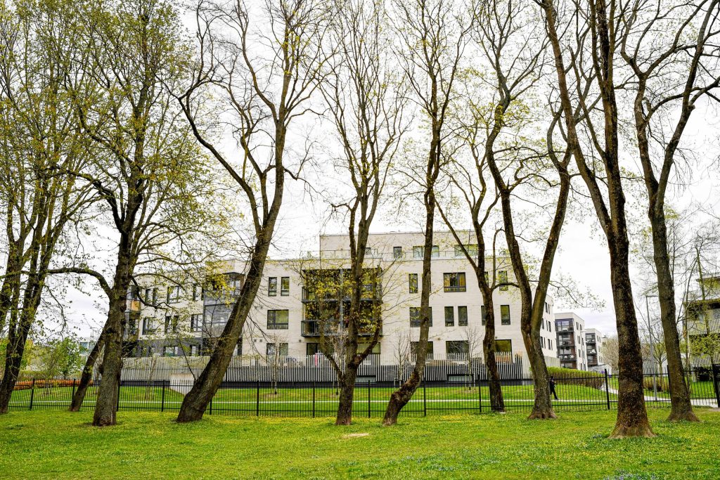 Zona în care locuim poate influența riscul îmbolnăvirii de demență. Spațiile verzi, importante pentru sănătate
