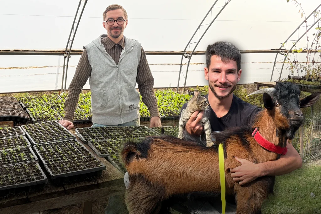 REPORTAJ. Tineri fermieri în România. De la „am învățat să folosesc drujba  pe YouTube” la „încercăm să facem un pic altfel agricultura”