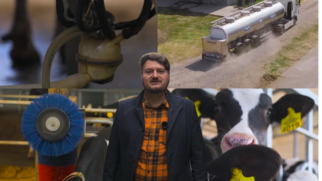 Cum arată una dintre cele mai moderne ferme de lapte din Europa: vaci cu senzori, hrănire automatizată și energie produsă în fermă