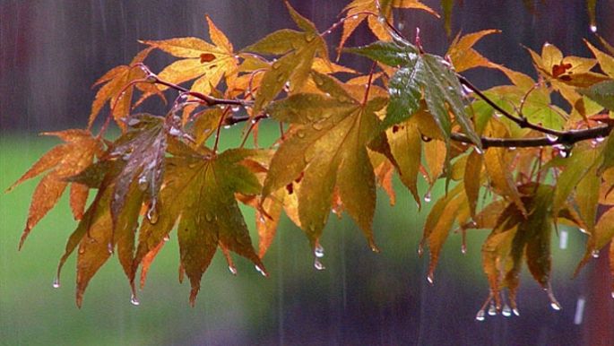 Meteorologii anunță ploi slabe în toată R. Moldova marți