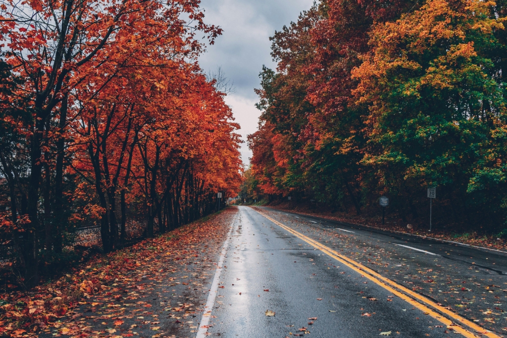 Ploi, precipitații mixte și ninsori. Meteorologii au emis cod galben pentru mai multe județe HARTĂ