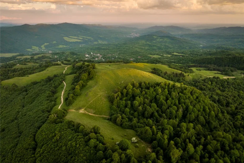 Reacțiile primarilor din Sibiu la ideea creării Parcului Național Munții Făgăraș. De la blocajele de la Bâlea Lac la teama de urși și zimbri. Primar Arpașu de Jos: Eu nu trăiesc rău! Cu ce-mi faci tu mie bine?