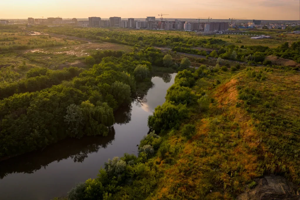 Bucureștiul are o nouă arie naturală protejată: Valea Saulei