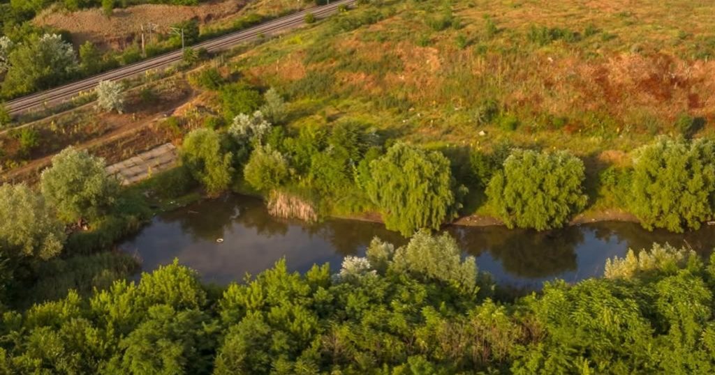 Valea Saulei, noua arie naturală protejată din București. Are 5,2 hectare și peste 80 de specii de păsări