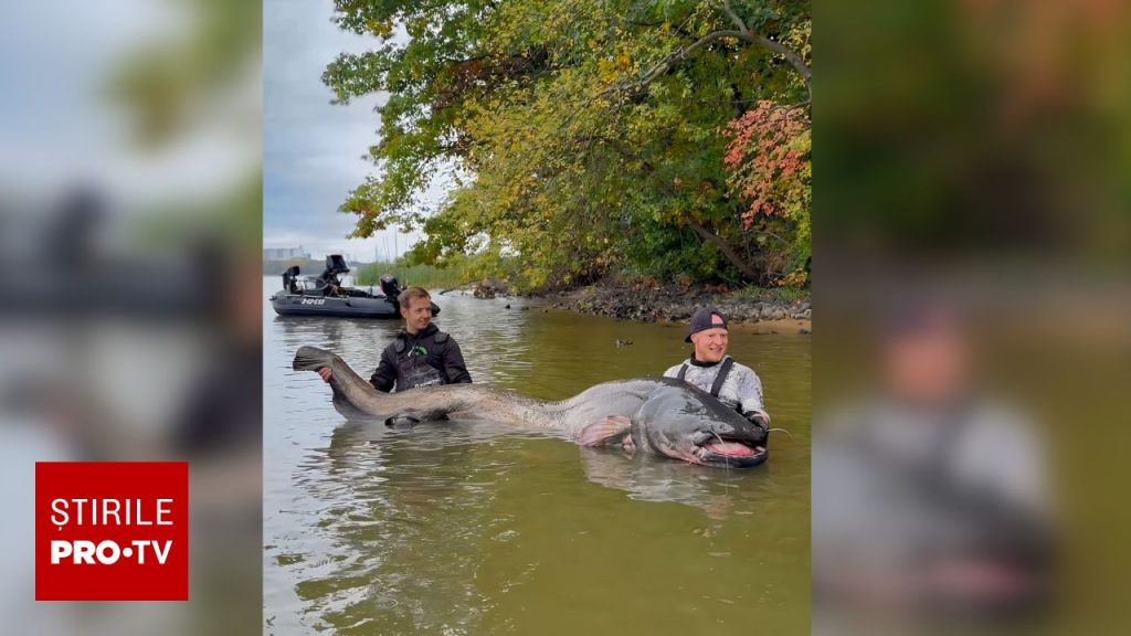 Un pescar a prins un somn de 2,92 metri în Polonia și a egalat un record mondial. S-a luptat 30 de minute să-l captureze