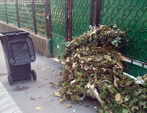 Campanie de colectare gratuită a deșeurilor vegetale în toate localitățile din județ! Vezi programul pe localități