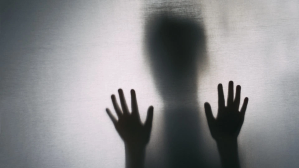 VIDEO "Nicio provocare virală nu ar trebui să fie mai importantă decât siguranţa unui copil”. Avertismentul Poliției Române despre trendul "Ghost prank” de pe TikTok
