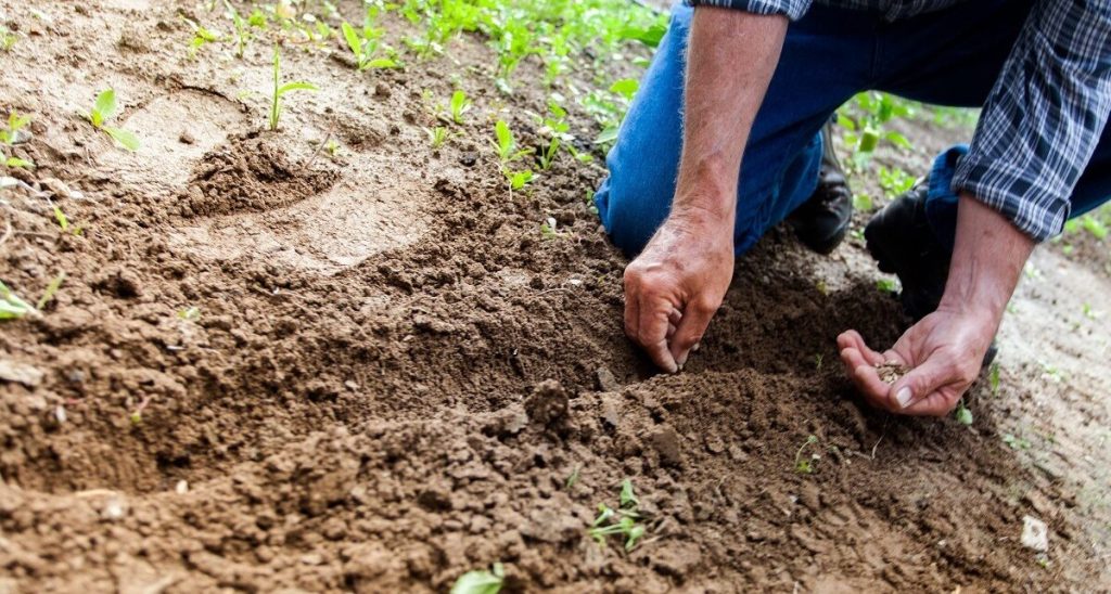 Tánczos Barna, despre rectificare: Zero lei pentru sprijinul urgent de care au nevoie fermierii / Susține că agricultura a pierdut 400 de milioane de lei la rectificare